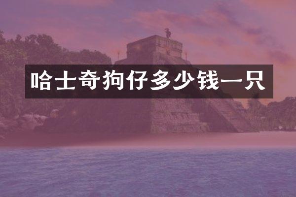 哈士奇狗仔多少钱一只