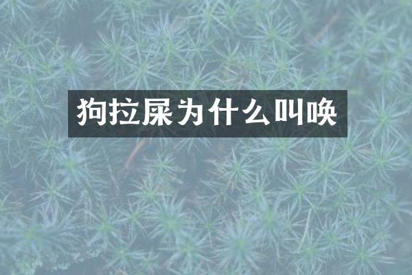 狗拉屎为什么叫唤