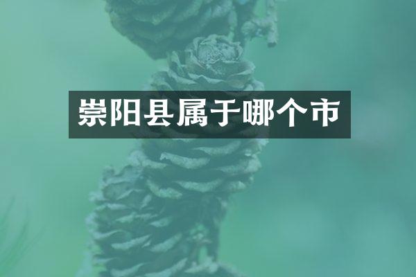 崇阳县属于哪个市