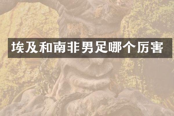 埃及和南非男足哪个厉害