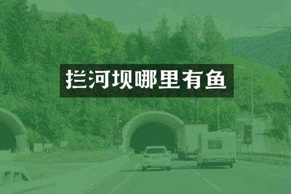 拦河坝哪里有鱼