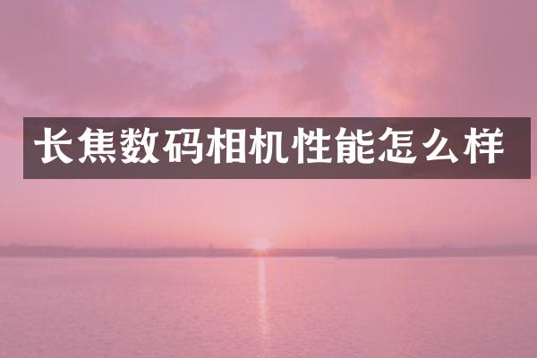 长焦数码相机性能怎么样