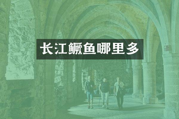 长江鳜鱼哪里多