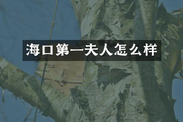 海口第一夫人怎么样