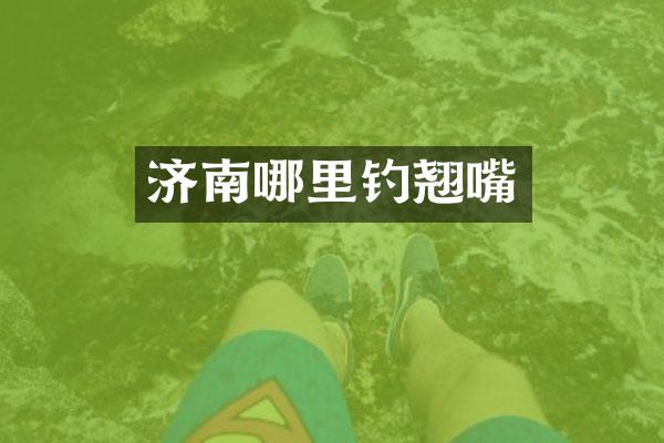 济南哪里钓翘嘴