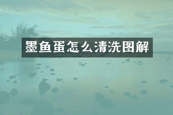 墨鱼蛋怎么清洗图解