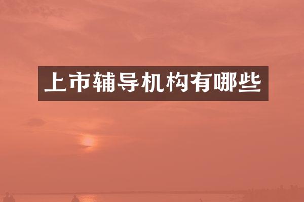 上市辅导机构有哪些