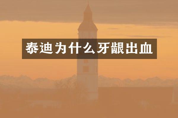 泰迪为什么牙龈出血