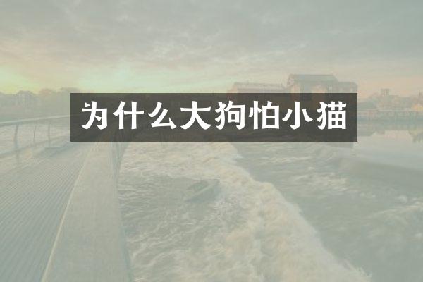 为什么大狗怕小猫