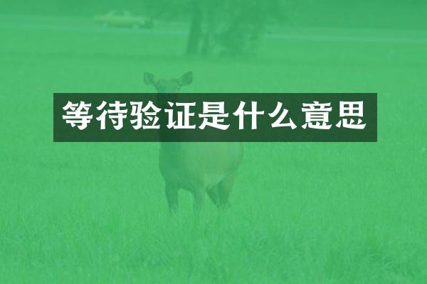 等待验证是什么意思