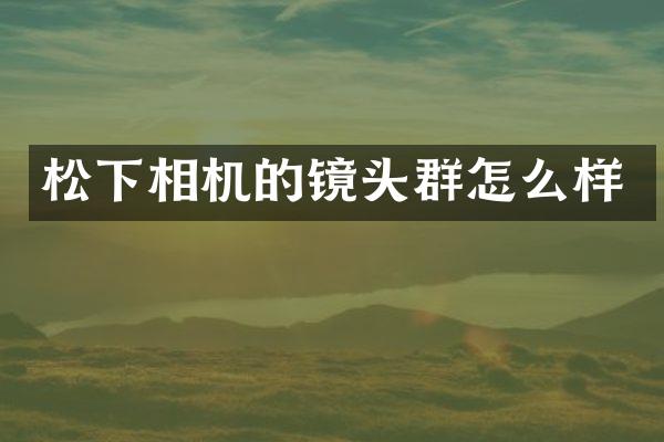 松下相机的镜头群怎么样