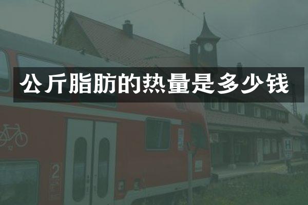 公斤脂肪的热量是多少钱