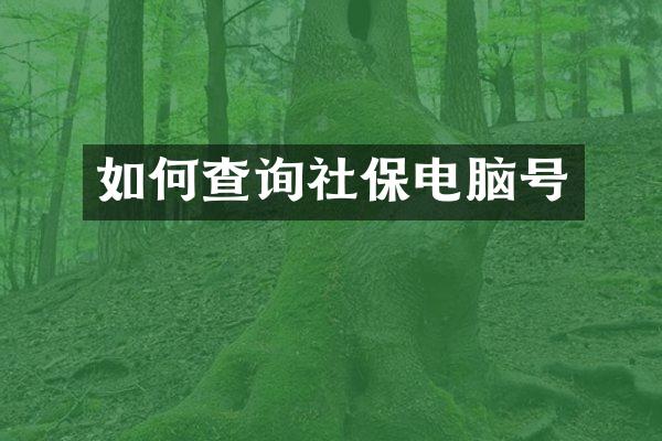如何查询社保电脑号
