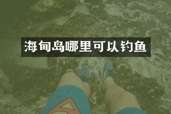 海甸岛哪里可以钓鱼