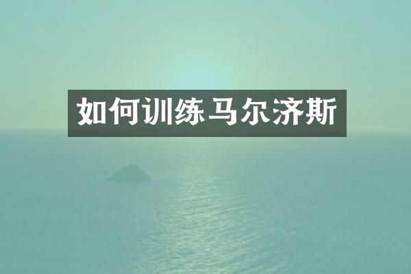 如何训练马尔济斯
