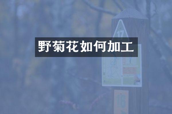 野菊花如何加工