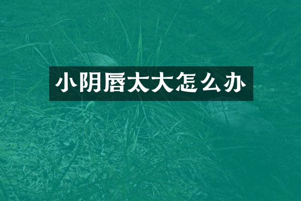 小阴唇太大怎么办