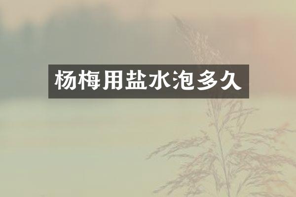 杨梅用盐水泡多久