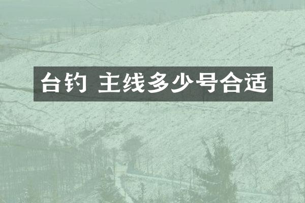 台钓 主线多少号合适