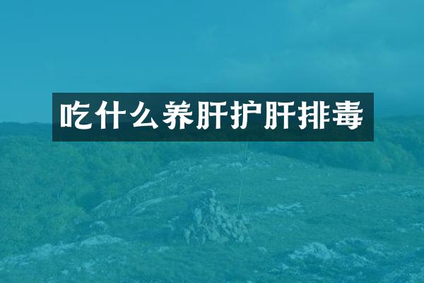 吃什么养肝护肝排毒