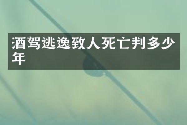 酒驾逃逸致人死亡判多少年