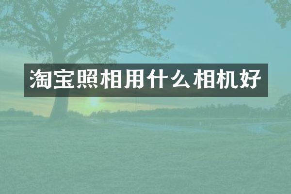 淘宝照相用什么相机好