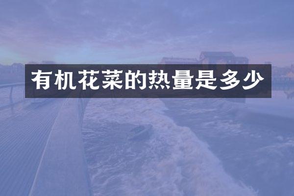有机花菜的热量是多少