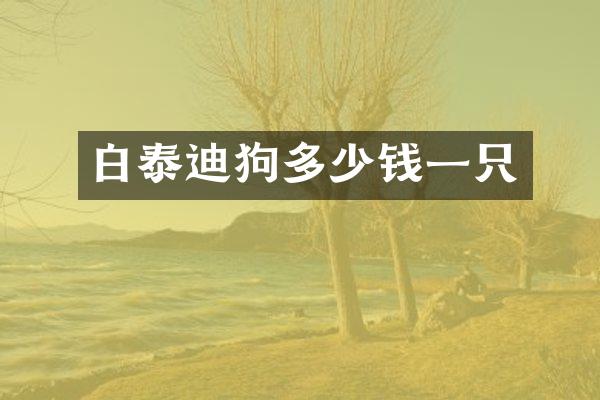 白泰迪狗多少钱一只