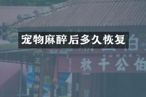 宠物麻醉后多久恢复