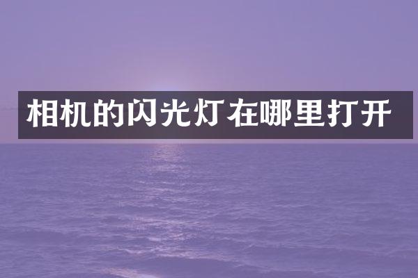 相机的闪光灯在哪里打开