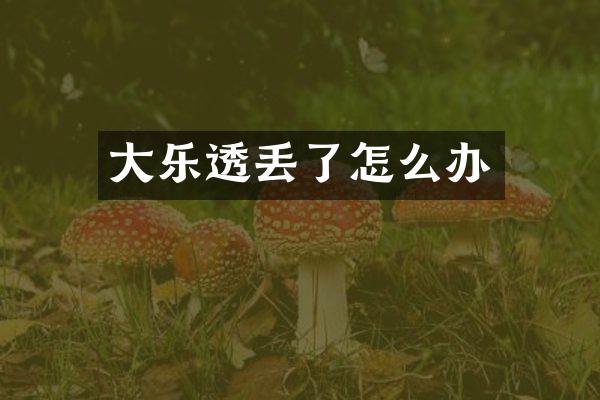 大乐透丢了怎么办