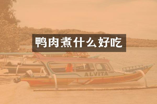 鸭肉煮什么好吃