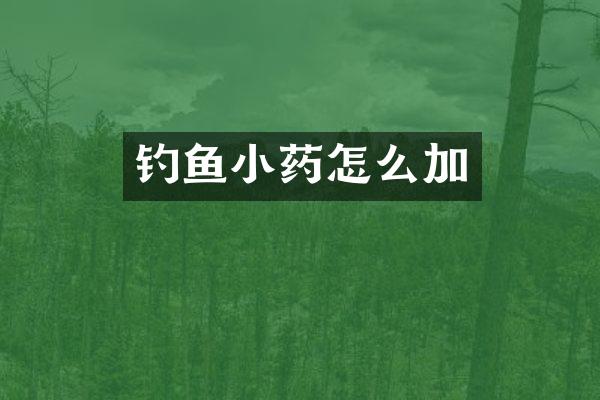 钓鱼小药怎么加