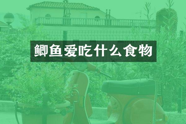鲫鱼爱吃什么食物