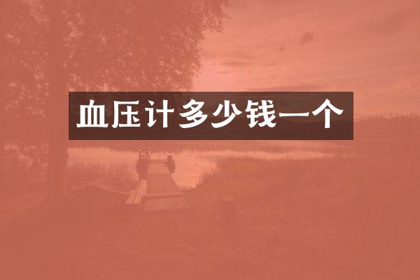 血压计多少钱一个
