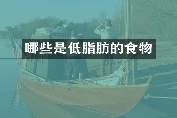 哪些是低脂肪的食物