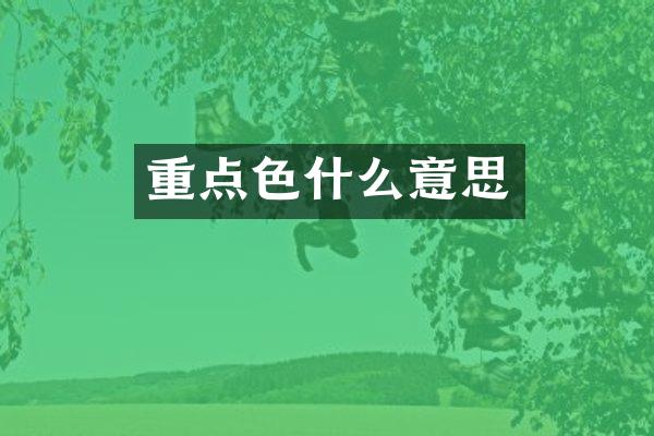 重点色什么意思