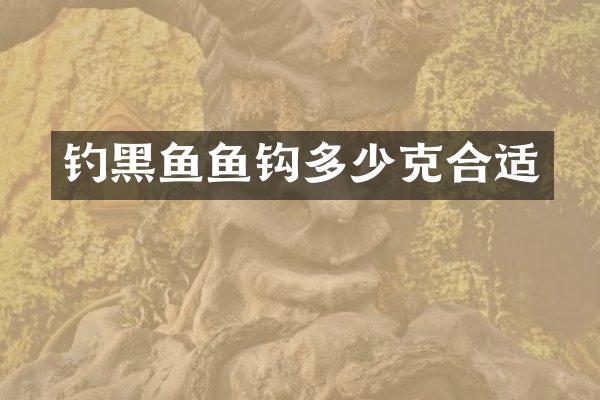 钓黑鱼鱼钩多少克合适