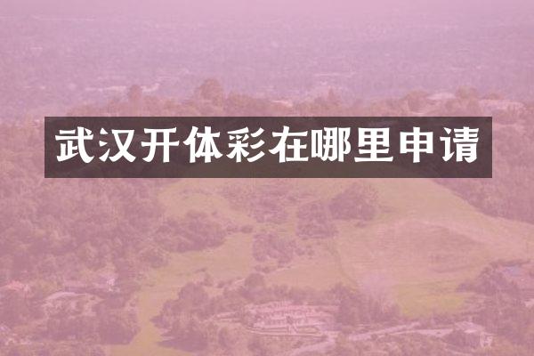 武汉开体彩在哪里申请