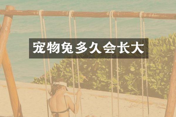 宠物兔多久会长大