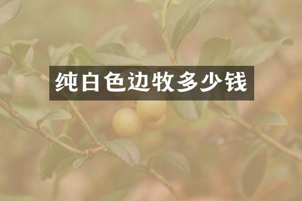 纯白色边牧多少钱