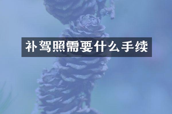 补驾照需要什么手续