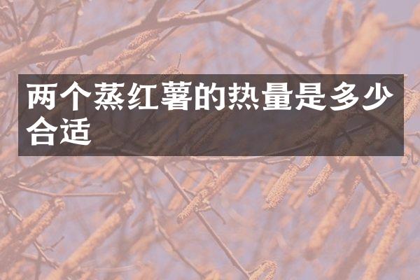 两个蒸红薯的热量是多少合适