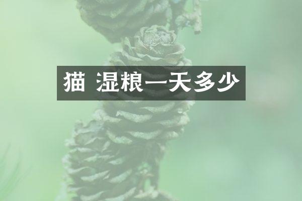 猫 湿粮一天多少