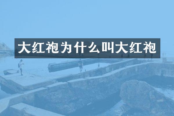 大红袍为什么叫大红袍