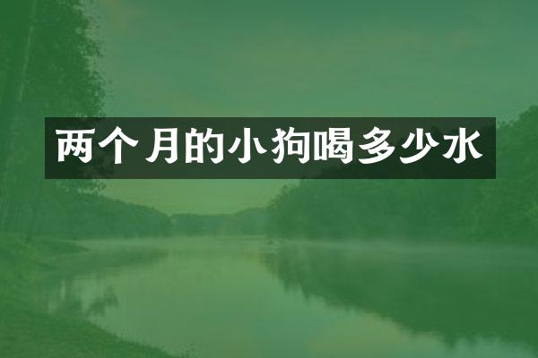 两个月的小狗喝多少水