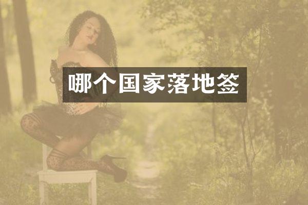 哪个国家落地签