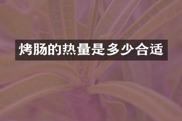 烤肠的热量是多少合适