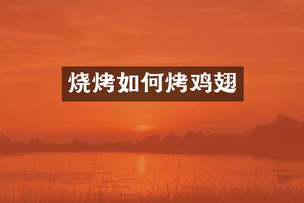 烧烤如何烤鸡翅