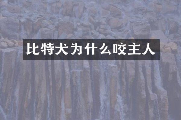 比特犬为什么咬主人